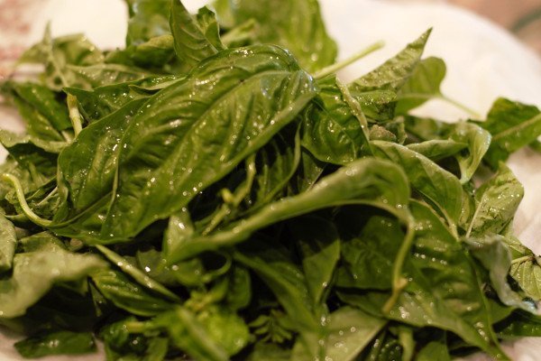 Clean basil with stems removed.