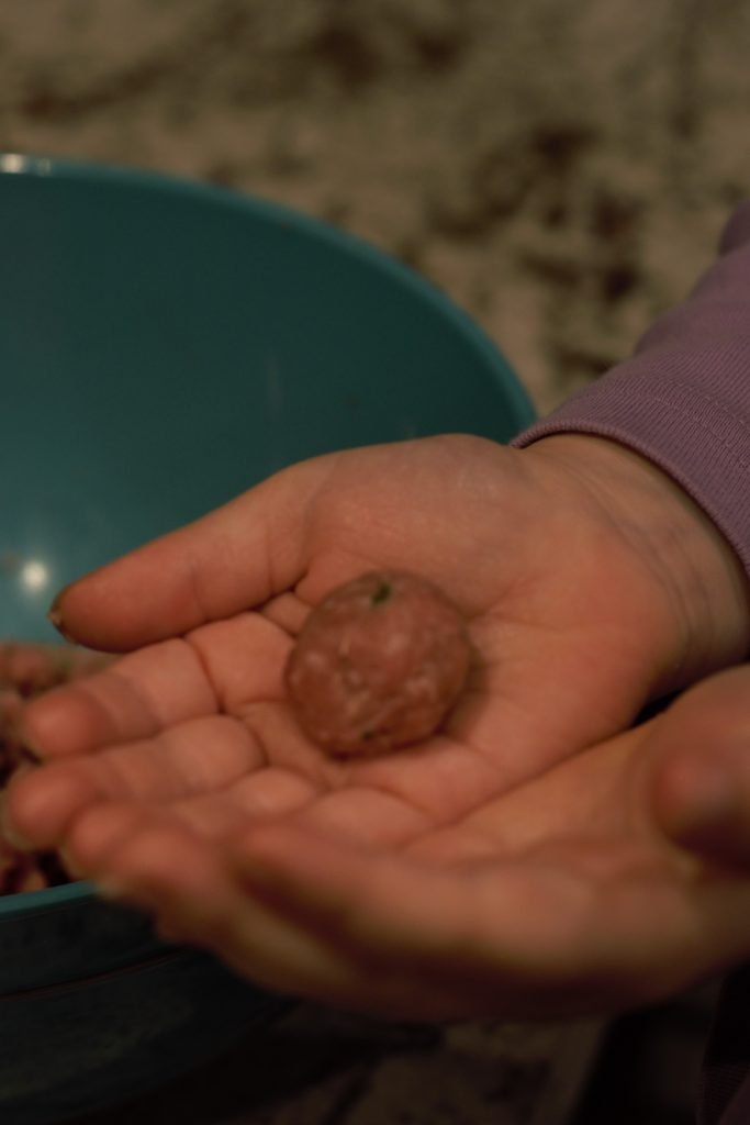 Miniature Turkey Meatballs being made by my four year old.