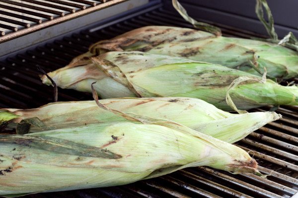 Perfectly Grilled Corn. The husk browns and protects the kernels from losing moisture and shriveling.