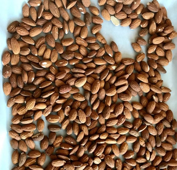 barbecue seasoned roasted almonds