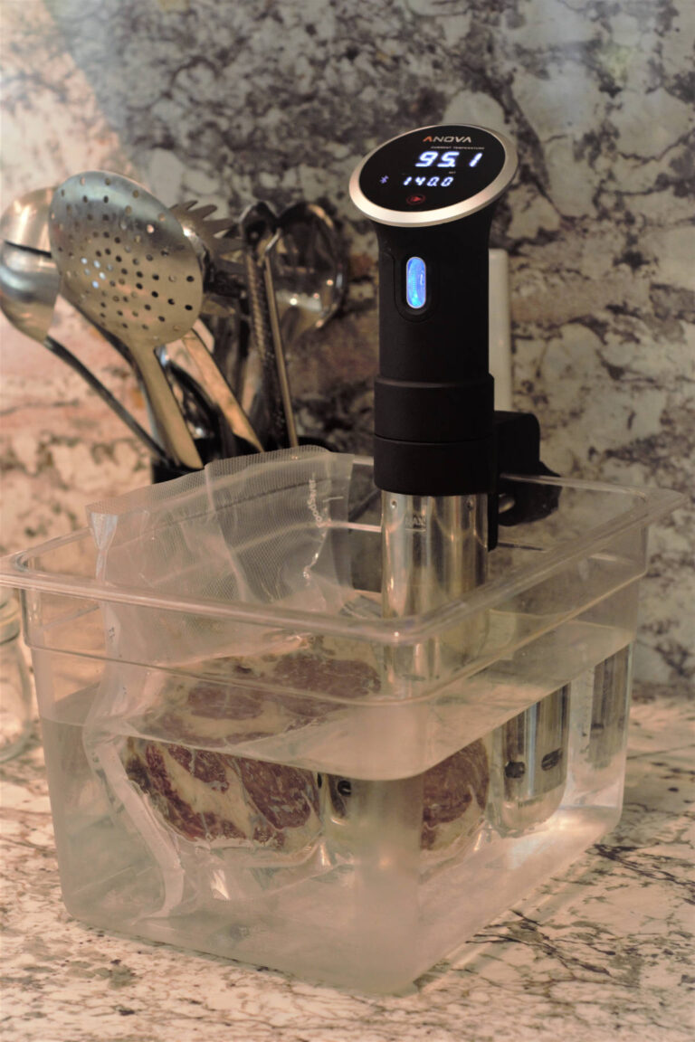 Sous Vide Recipes A HomeCook’s Budget Friendly Best Friend