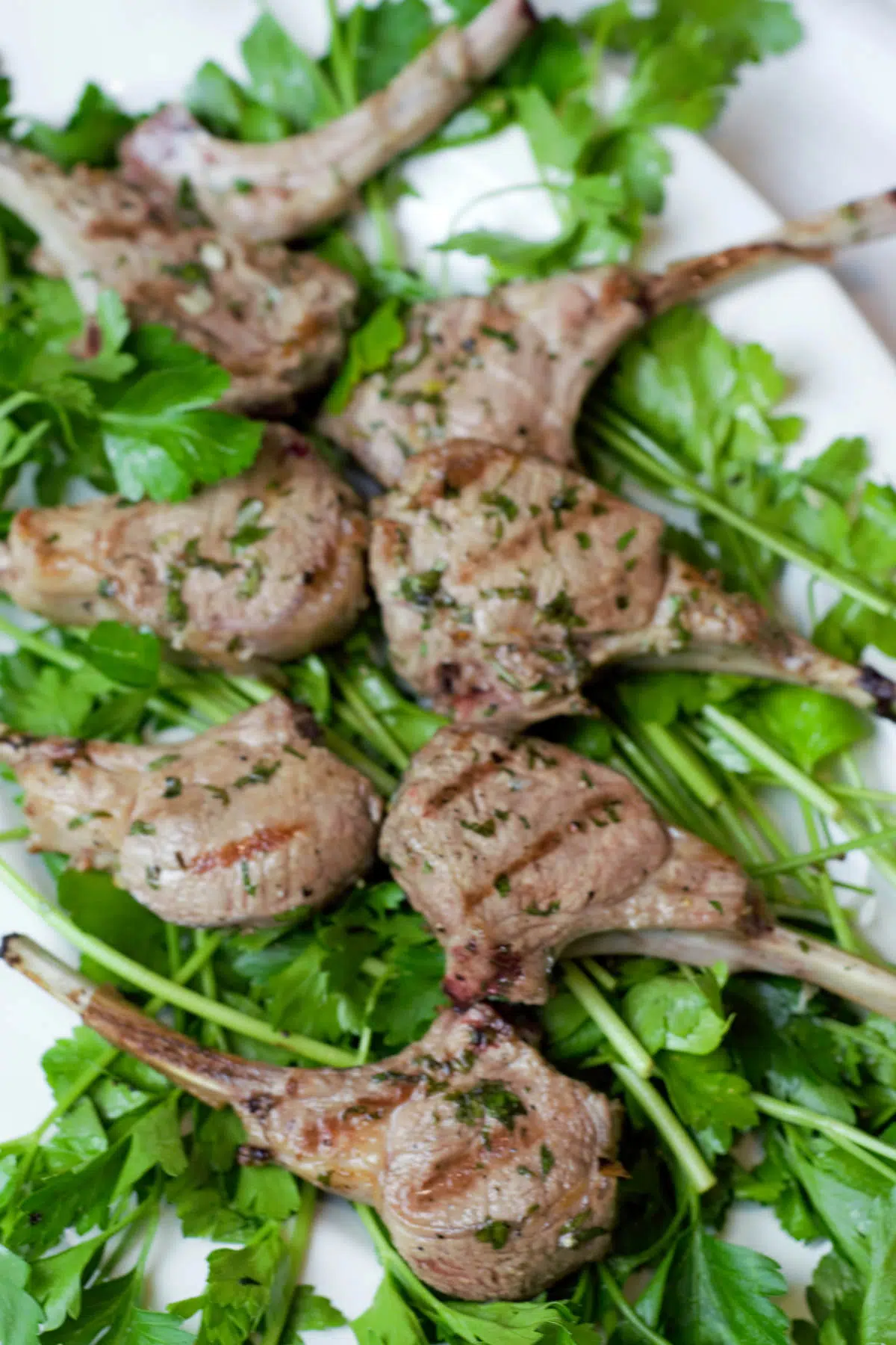Easy Grilled Lamb Chops Recipe • Unicorns in the Kitchen
