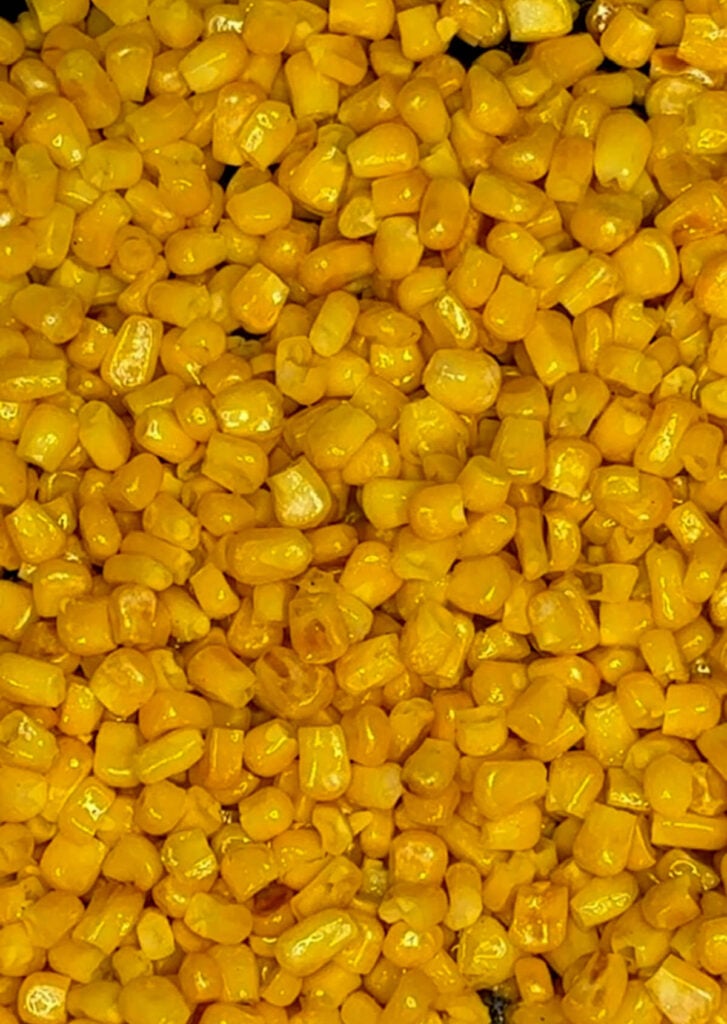 toasted corn